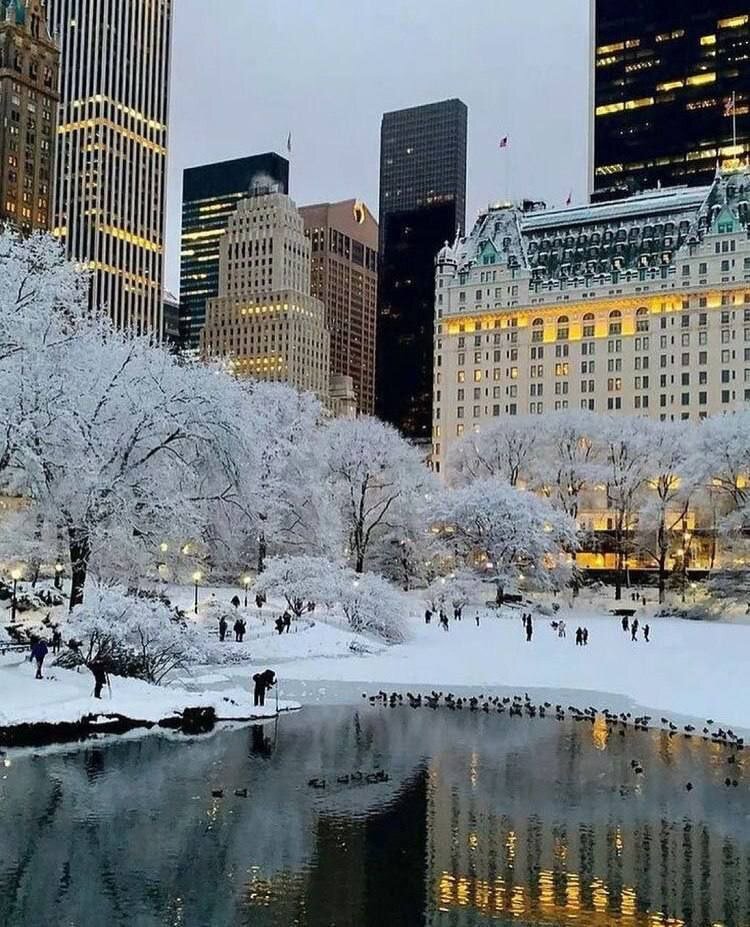 طراحی شهری در خدمت زمستان