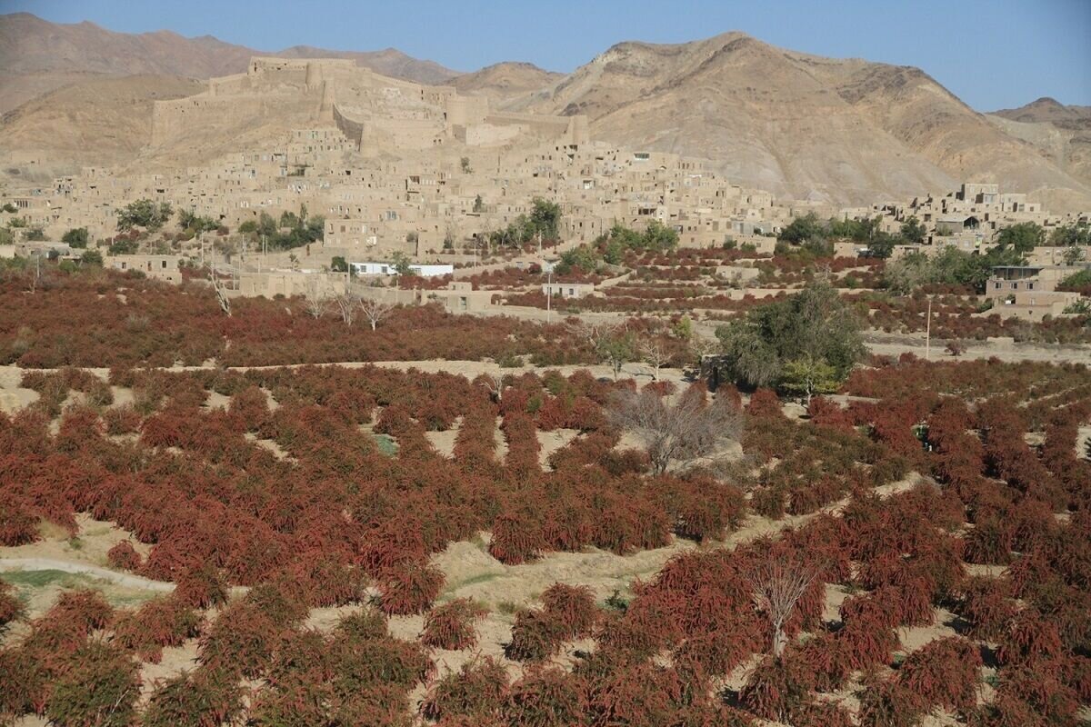 طلوع شرق باشکوه در قاب «ایران جان»