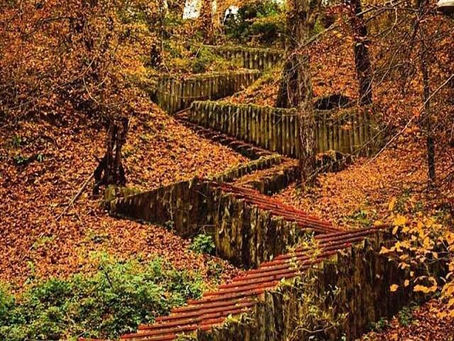 ۱۰ مقصد رویایی پاییز مازندران که باید پیش از زمستان دید