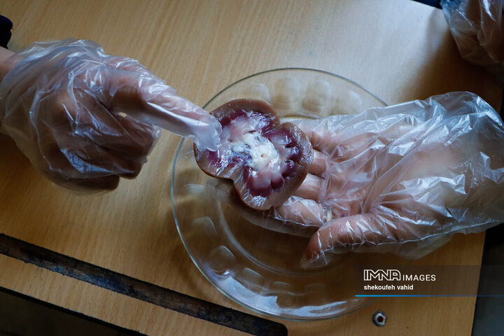 بازتجربه یک روز تحصیل والدین در مدرسه