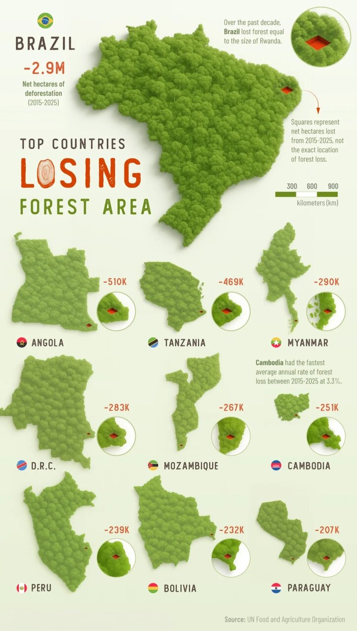 چه کشوری بیشترین جنگل را از دست داداه است؟