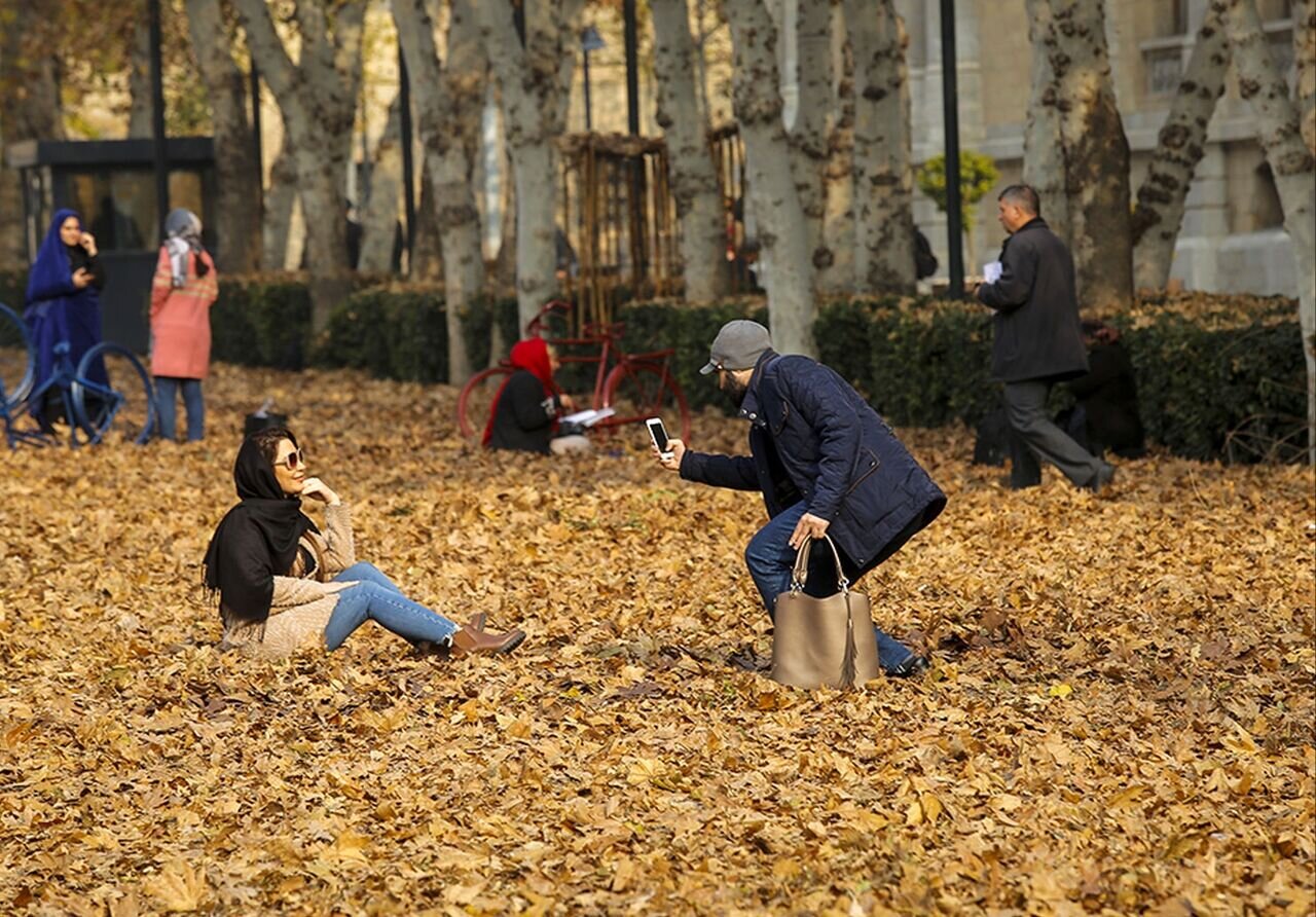 پاییز شیراز؛ روایت شاعرانه فصل رنگها