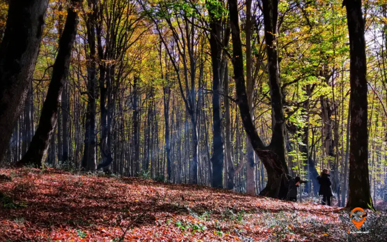 ۱۰ مقصد رویایی پاییز مازندران که باید پیش از زمستان دید