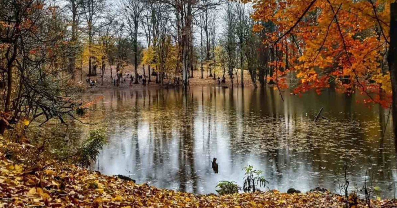 ۱۰ مقصد رویایی پاییز مازندران که باید پیش از زمستان دید