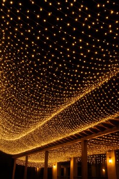 خرید عمده ریسه سوزنی با قیمت کف بازار