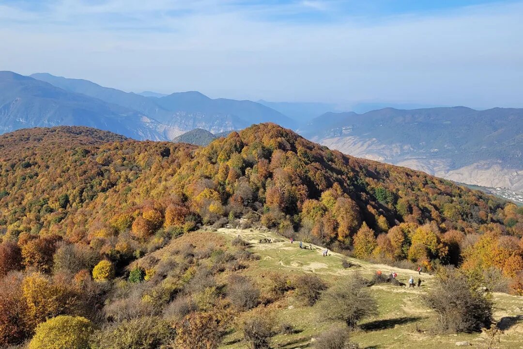 قدمزدن در مسیر طلایی طبیعت شمال ایران / جنگلهایی که در پاییز به رنگ جادو در میآیند