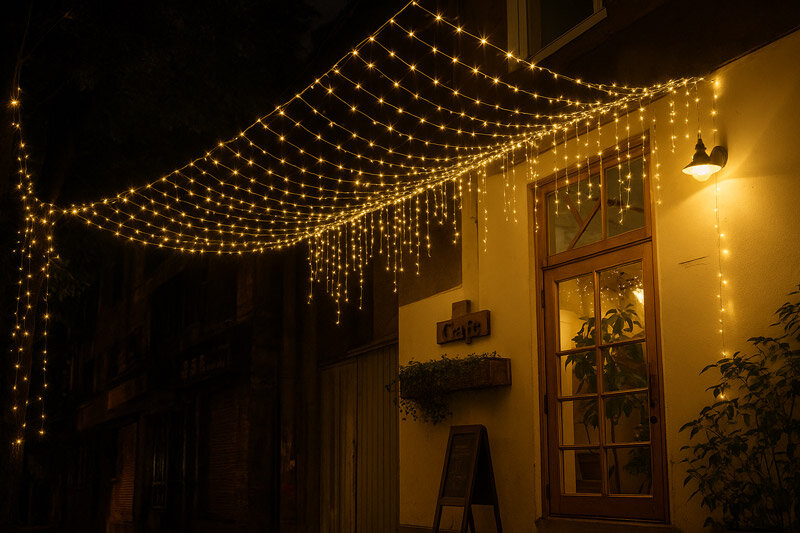 ریسه های سوزنی