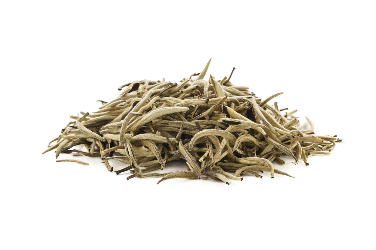 سفری به جهان چای؛ از اژدهای چین تا باغهای هیمالیا