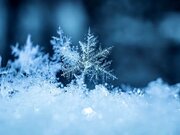 سرمای هوا؛ دشمن خاموش سلامت