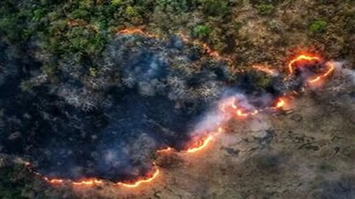 ورود هواپیمای ۴۰ تنی آب ایلوشن برای مهار آتش جنگل‌های الیت چالوس