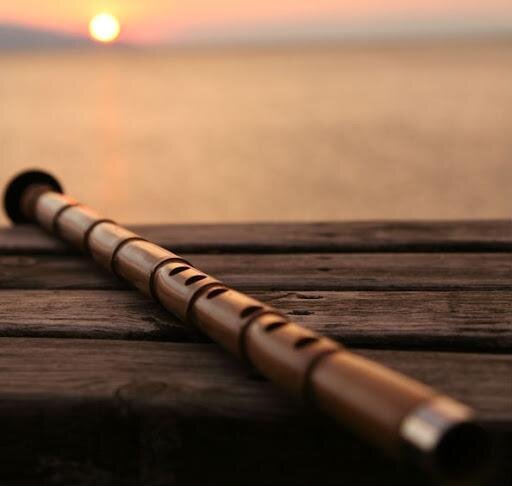 نی؛ آوای جان در جستوجوی یار