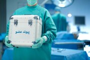 فارس؛ پیشتاز پیوند اعضا در کشور