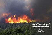 آخرین جزئیات مهار آتش‌سوزی جنگل‌های هیرکانی