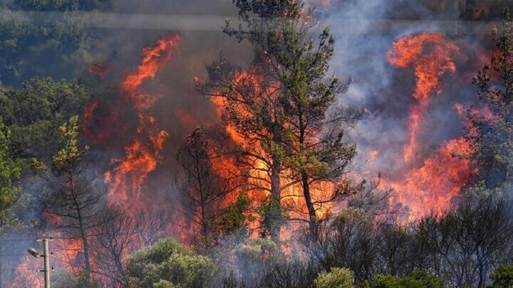 آخرین اخبار اطفای حریق جنگل‌های الیت؛ از اعزام تیم‌ امدادی تا ورود بالگردهای ارتش و سپاه