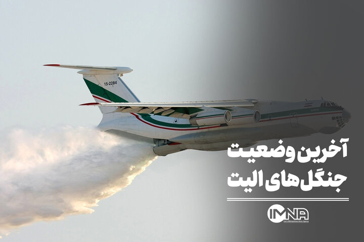 آخرین وضعیت جنگل‌های الیت