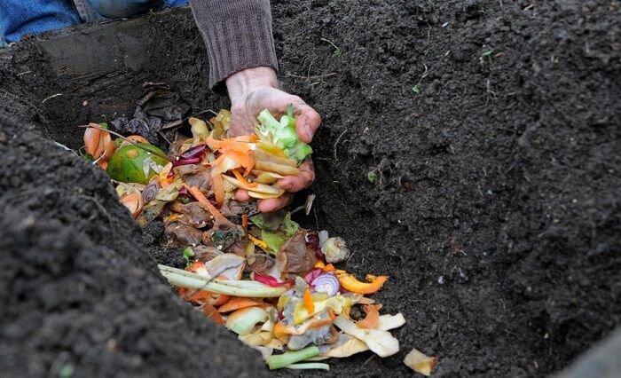 زباله خشک تحویل دهید؛ کود کمپوست دریافت کنید