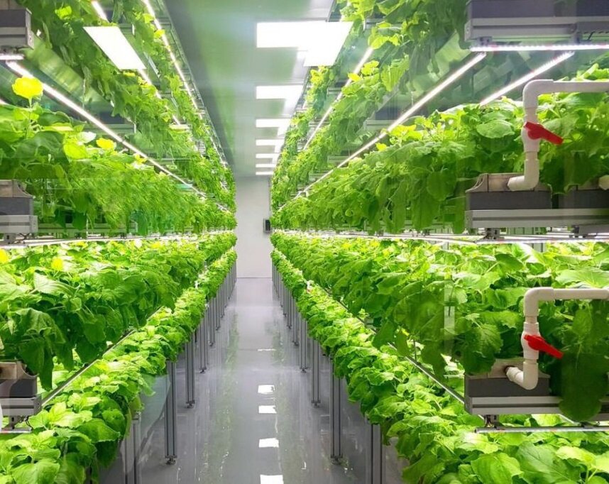 ژاپن چگونه با فناوری، بحران غذا و کمبود آب را به فرصت تبدیل کرد؟