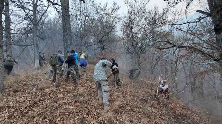 روایت رئیس سازمان مدیریت بحران از آخرین وضعیت منطقه جنگلی الیت