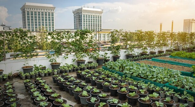 شهرهای خوراکی؛ تحول انقلابی یا پروژهای پرچالش؟