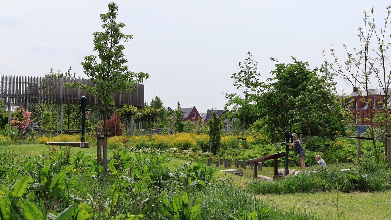 شهرهای خوراکی؛ تحول انقلابی یا پروژهای پرچالش؟