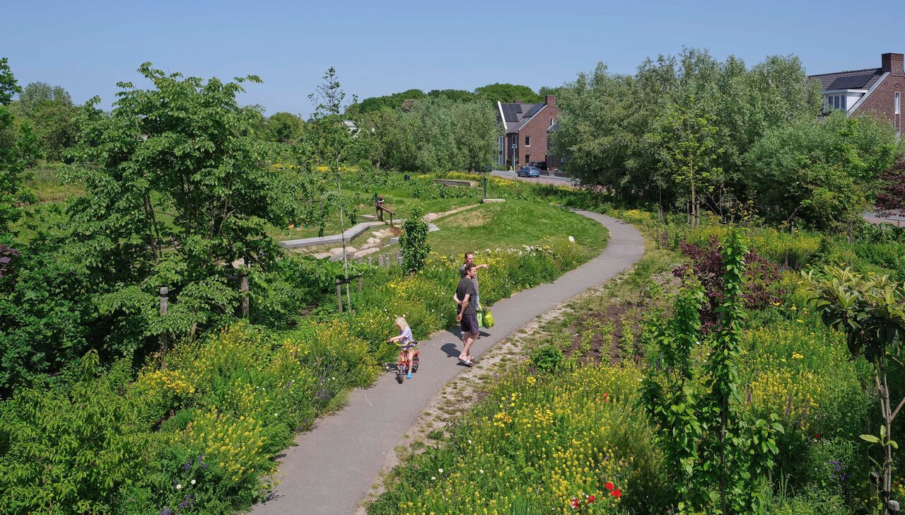 شهرهای خوراکی؛ تحول انقلابی یا پروژهای پرچالش؟