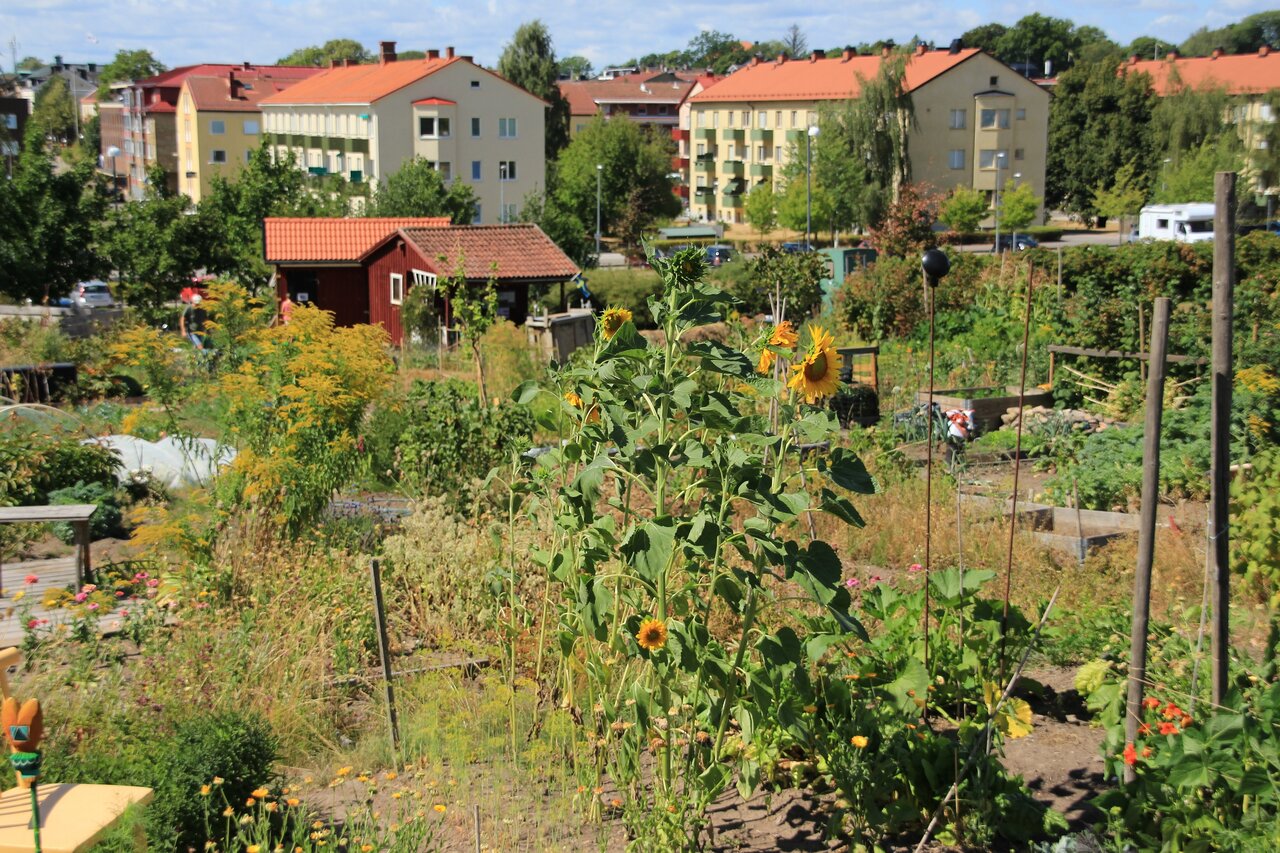 شهرهای خوراکی؛ تحول انقلابی یا پروژهای پرچالش؟