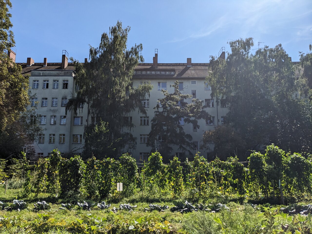 شهرهای خوراکی؛ تحول انقلابی یا پروژهای پرچالش؟