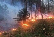 مهار آتش‌سوزی جنگل‌های الیت به پایان رسید/ ‌لکه‌گیری ‌ادامه دارد