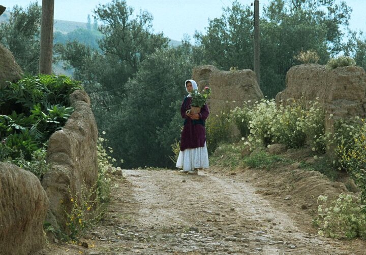 افتتاح جشنواره جهانی فیلم فجر با نمایش فیلمی از عباس کیارستمی