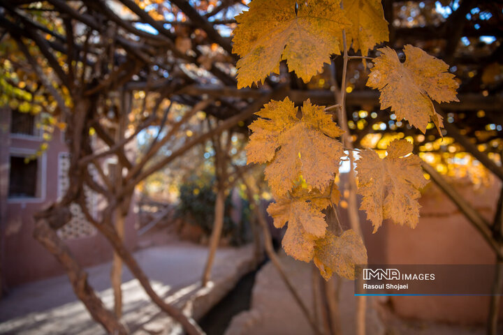 چهره پاییزی ابیانه