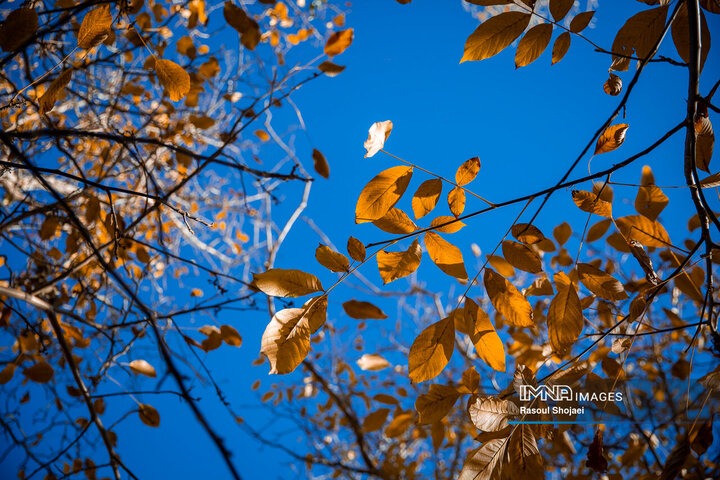 چهره پاییزی ابیانه