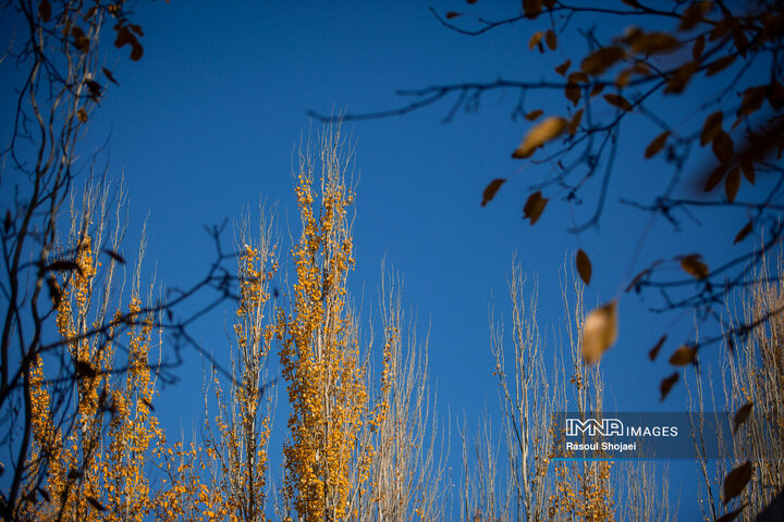 چهره پاییزی ابیانه