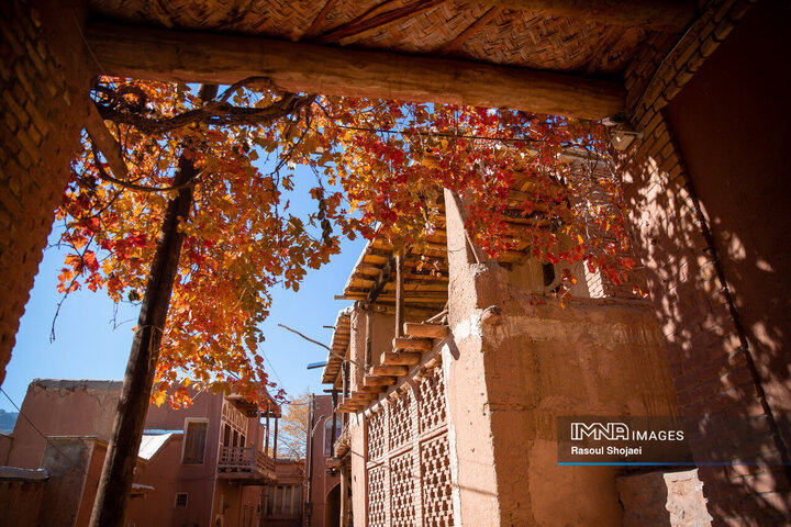 چهره پاییزی ابیانه