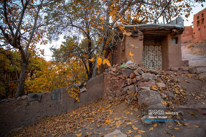 چهره پاییزی ابیانه