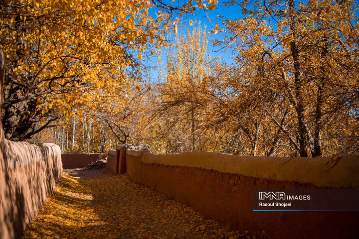 چهره پاییزی ابیانه