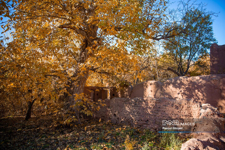 چهره پاییزی ابیانه