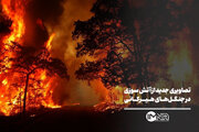 تصاویری جدید از آتش سوزی در جنگل‌های هیرکانی