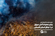 پایان عملیات آتش سوزی در ۷ جنگل استان گلستان