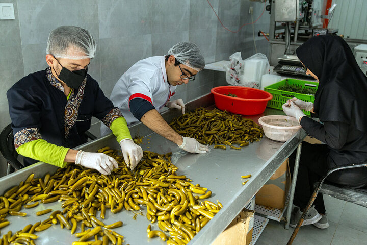 اینجا زندگی دوباره قد می‌کشد