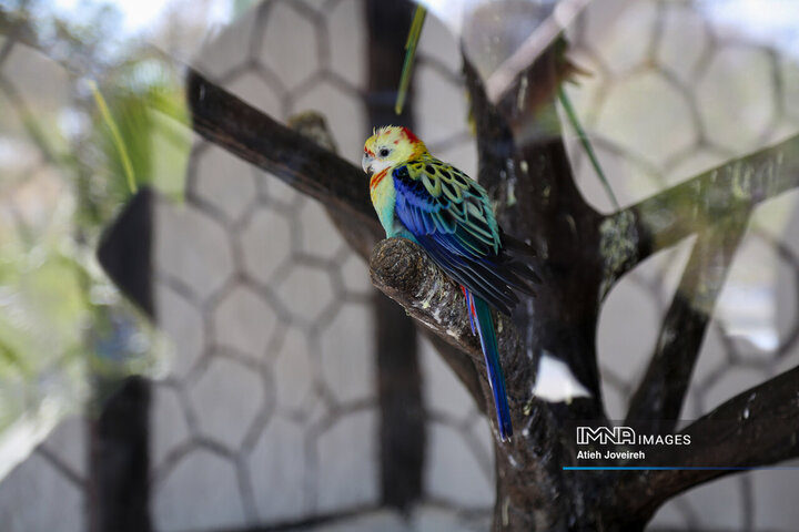 تور گردشگری بازنشستگان شهرداری اصفهان