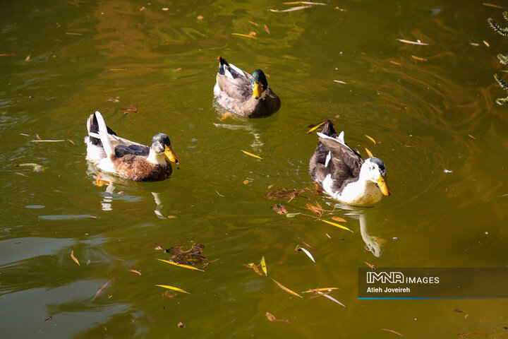تور گردشگری بازنشستگان شهرداری اصفهان