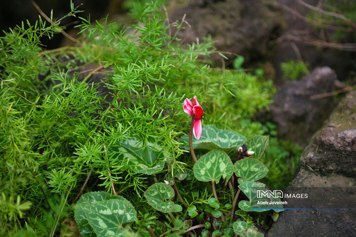 تور گردشگری بازنشستگان شهرداری اصفهان