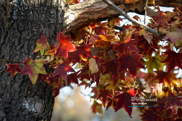 تور گردشگری بازنشستگان شهرداری اصفهان