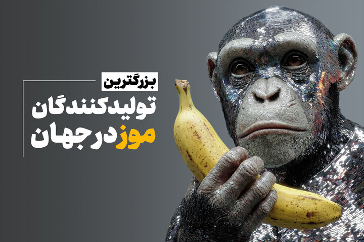 بزرگ‌ترین تولیدکنندگان موز در جهان + جایگاه ایران