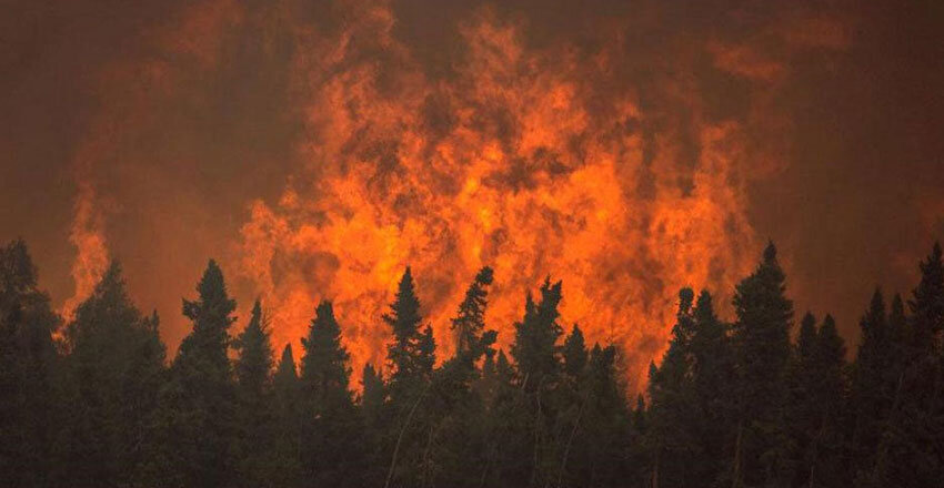 حفاظت از میراث سبز؛ وظیفه‌ای همگانی و قانونی