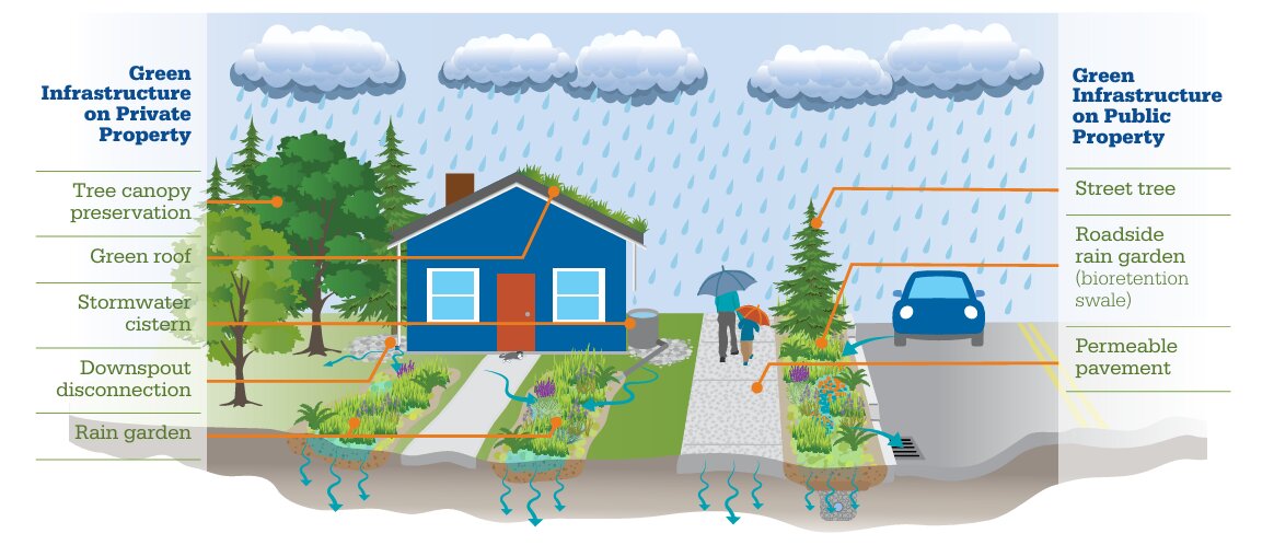 مدیریت باران در شهرهای پر بارش؛ از چالش تا فرصت پایدار
