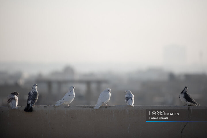 آلودگی هوای اصفهان