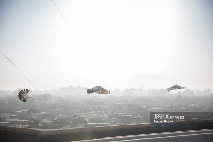 آلودگی هوای اصفهان