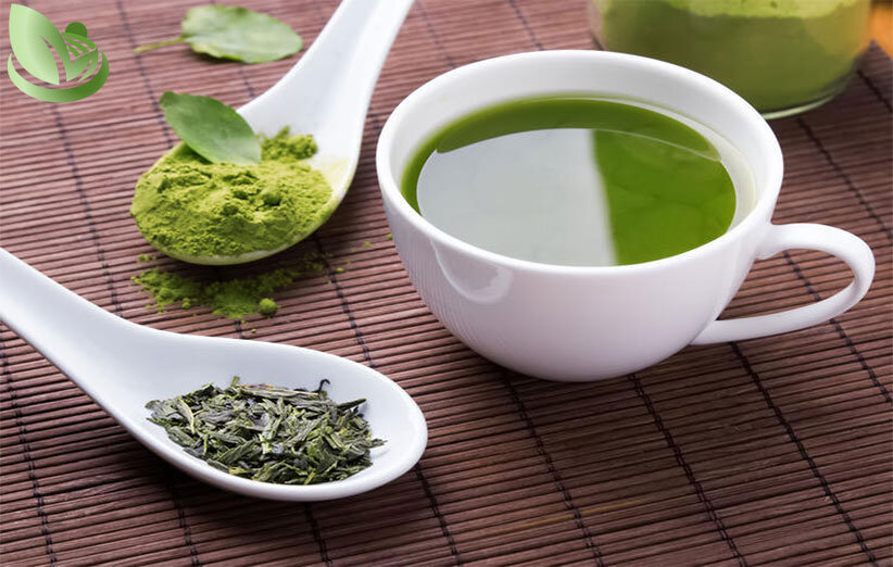 چای ماچا و مضرات آن | طریقه مصرف چای ماچا برای لاغری + چای ماچا برای چی خوبه؟