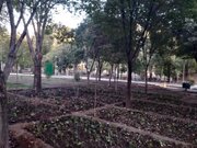 اجرای طرح اصلاح الگوی کاشت و توسعه آبیاری هوشمند در فضای سبز منطقه ۲ اصفهان